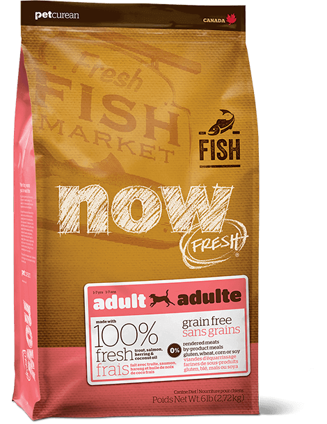 Now brand sale dog food