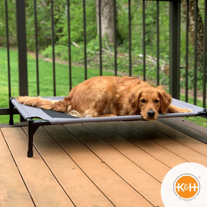 Pet Cot - Large Charcoal K&H