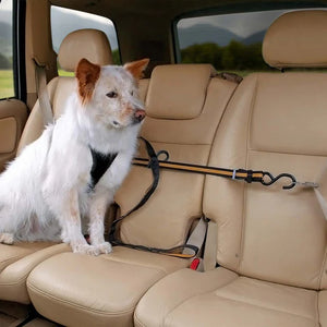 Kurgo Leash/Car Zipline Combo