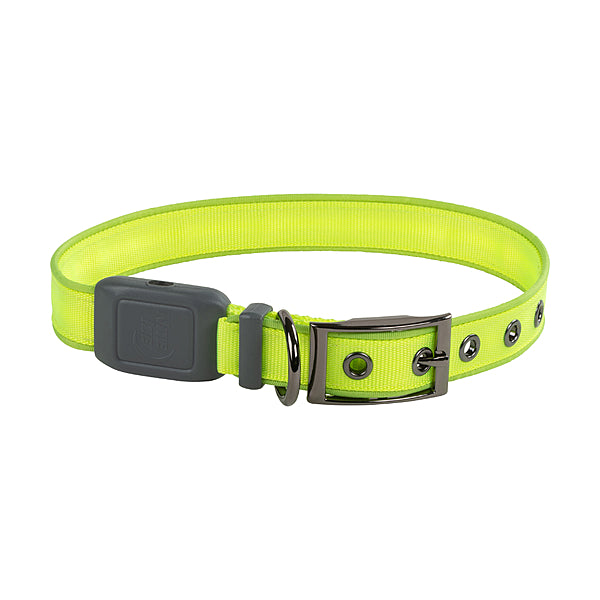 Rechargeable LED Collar Lime L