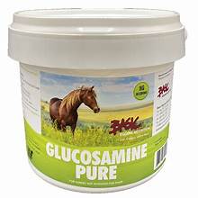 Basic Equine Glucosamine 1kg