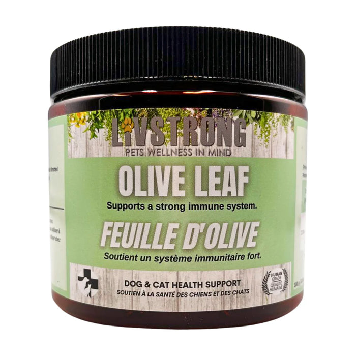 Olive Leaf Powder 100g