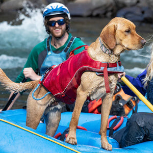 Surf n' Turf Lifejacket M/L/XL