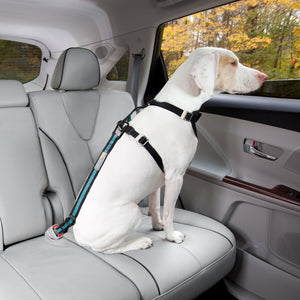 Buy Kurgo Backseat Bridge for your dog